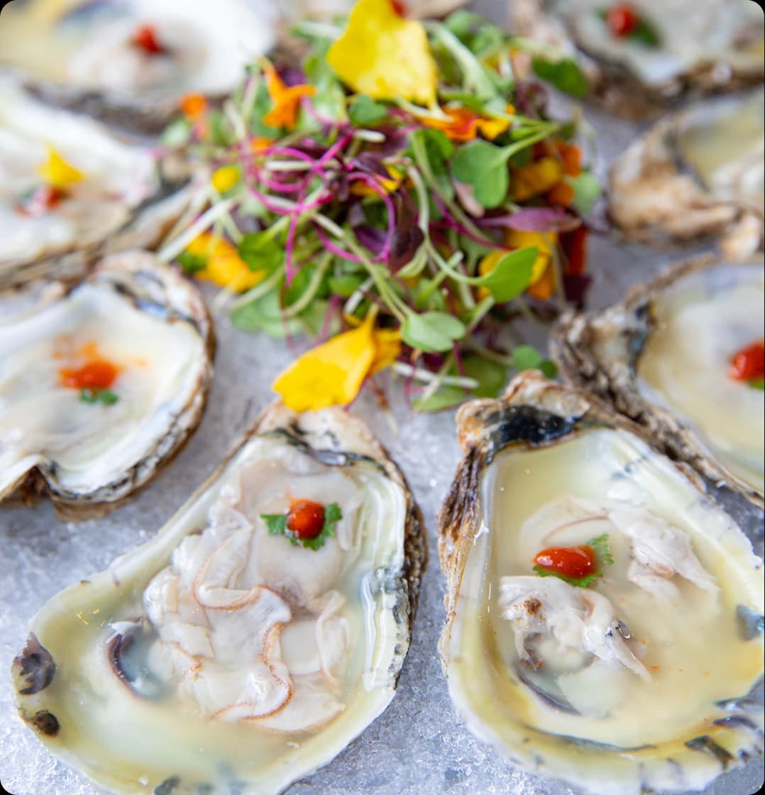 Fresh Mussels Near Me – Atlanta's Premium Seafood Offerings