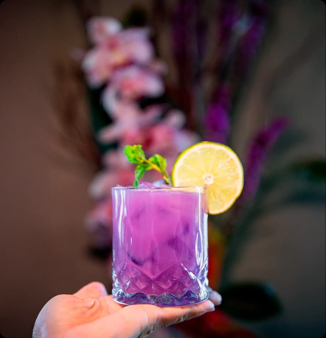 Tomo's Outstanding Bubbles Menu: Discover the Most Wonderful Pairings
