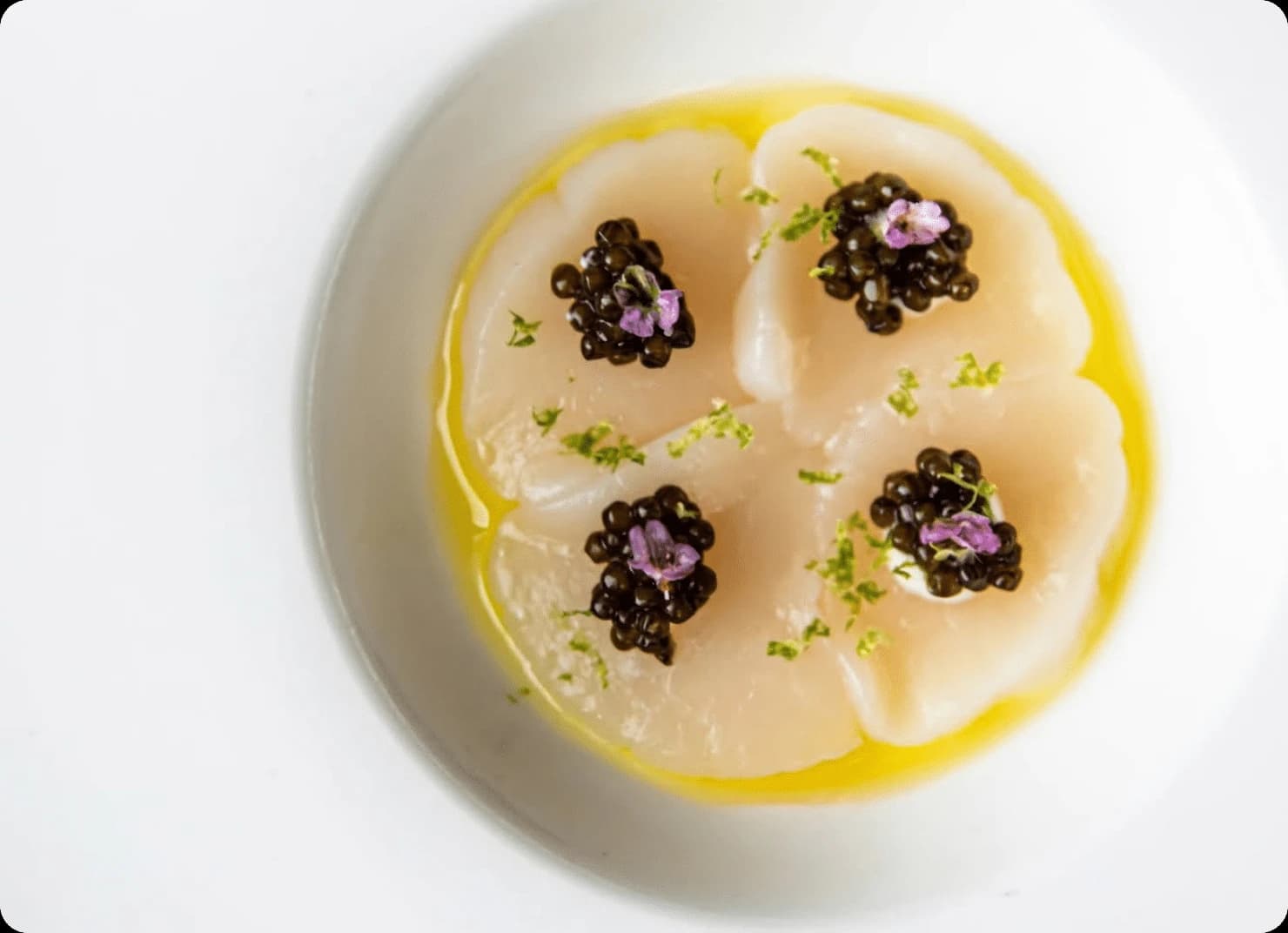 High-End Japanese Cuisine in Atlanta | Tomo