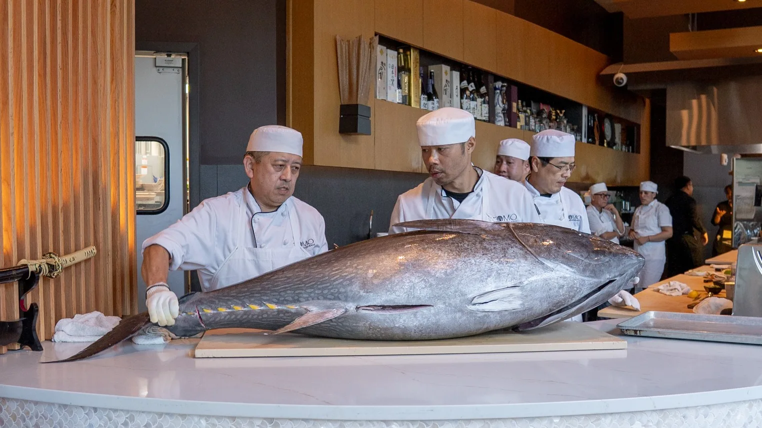 Tomo Japanese chefs presenting a whole Pacific bluefin tuna at the sushi counter in Buckhead, Atlanta